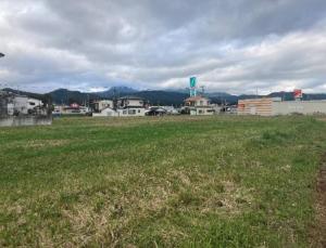 現地写真